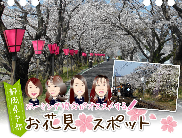 ホーミング娘☆がオススメする静岡県中部お花見スポット