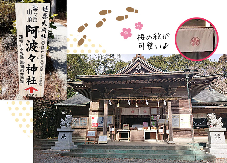 山頂には神社が！神社幕にある桜の紋がかわいい。